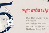 Thần số học số 5: Biểu tượng chính của tự do và thay đổi