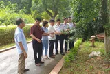 Phát triển cây Xanh Bốn Mùa thành cây xanh đô thị theo ý nguyện của Bác Hồ