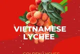 Thương mại điện tử xuyên biên giới chỉ mất 4 - 5 ngày đưa vải thiều Việt Nam đến với khách hàng Châu Âu