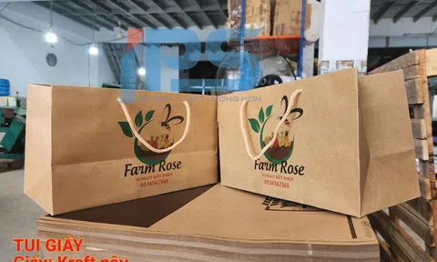 Quy trình in túi giấy tốc độ cao và bí quyết giao hàng chỉ trong 24 giờ