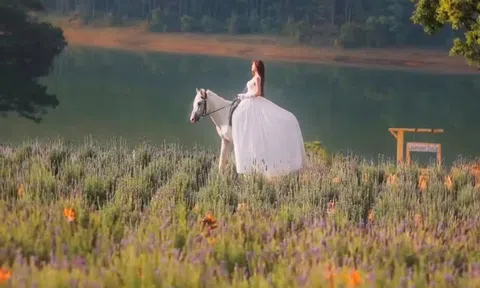 Từ Cô Bé 8 Tuổi Đến "Nàng Thơ" Bạch Mã: Hành Trình 15 Năm Chinh Phục Thảo Nguyên Đà Lạt