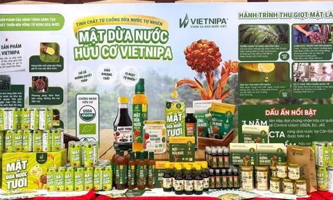 Đặc sản Cần Giờ, mật dừa nước trở thành nguyên liệu tạo ngọt được thị trường quốc tế đón nhận