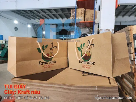 Quy trình in túi giấy tốc độ cao và bí quyết giao hàng chỉ trong 24 giờ