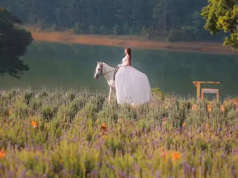Từ Cô Bé 8 Tuổi Đến "Nàng Thơ" Bạch Mã: Hành Trình 15 Năm Chinh Phục Thảo Nguyên Đà Lạt
