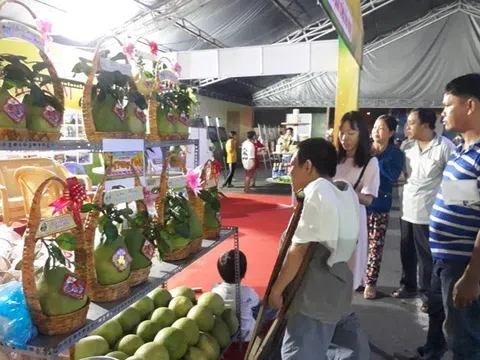 Khai mạc Festival lúa gạo Việt Nam lần thứ tư tại Vĩnh Long